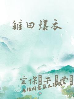 雏田爆衣