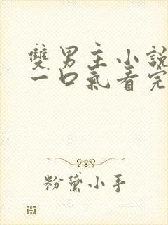 双男主小说完结一口气看完一更到底