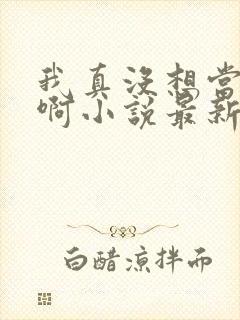 我真没想当皇帝啊小说最新章节