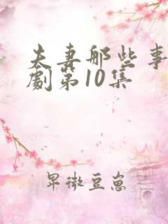 夫妻那些事电视剧第10集