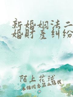 新婚姻法二婚离婚财产纠纷律师