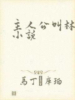 主人公叫林邪的小说