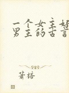 一个女主好几个男主的古言