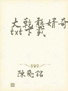 大乾憨婿奇书网txt下载