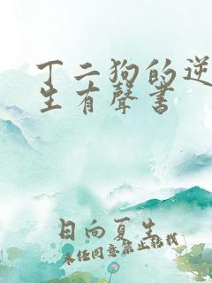 丁二狗的逆袭人生有声书