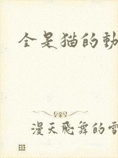 全是猫的动画片