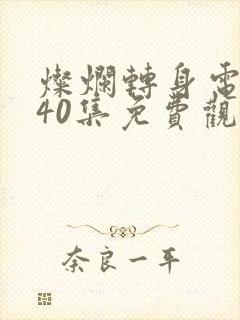 灿烂转身电视剧40集免费观看高清