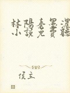 林阳秦墨浓有声小说免费听书