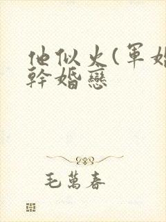 他似火(军婚高干婚恋