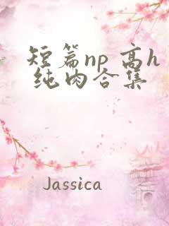 短篇np 高h 纯肉合集