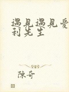 遇见遇见爱情的利先生
