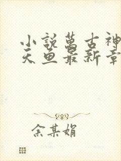 小说万古神帝飞天鱼最新章节列表最