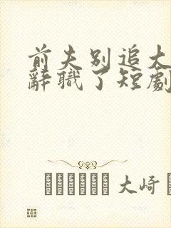 前夫别追大小姐辞职了短剧免费观看