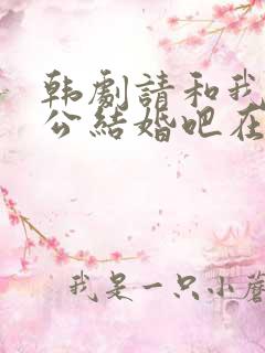 韩剧请和我的老公结婚吧在线观看免费