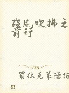 强风吹拂之逆风前行