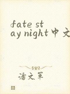 fate stay night中文最终版