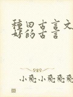 种田古言文笔超好的古言