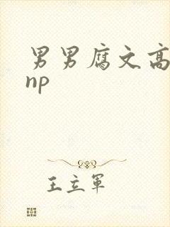 男男腐文高h肉np
