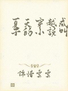 夏天穿越成九皇子的小说叫什么