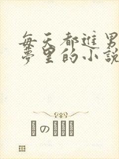 每天都进男神的梦里的小说叶芝琴