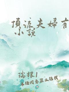 顶流夫妇有点甜 小说