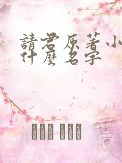 请君原著小说叫什么名字