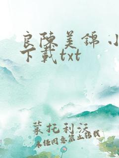 良陈美锦 小说下载txt