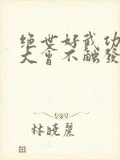 绝世好武功武林大会不触发