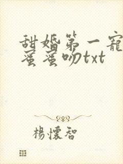 甜婚第一宠总裁蜜蜜吻txt