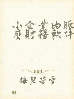 小企业内账用什么财务软件