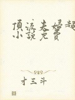 顶流夫妇超甜的小说免费