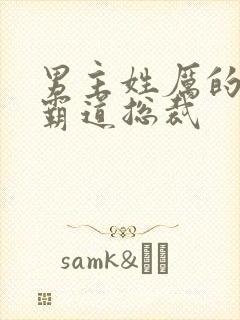 男主姓厉的小说霸道总裁