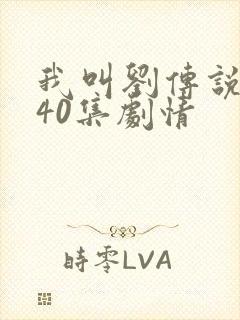 我叫刘传说1—40集剧情