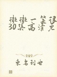 微微一笑很倾城30集高清免费观看