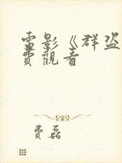 电影《群盗》免费观看