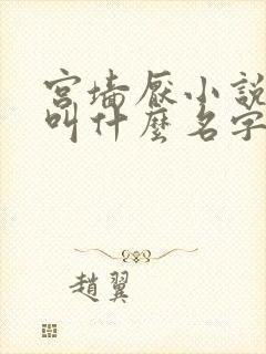 宫墙厌小说原著叫什么名字