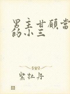 男主甘愿当女主的小三