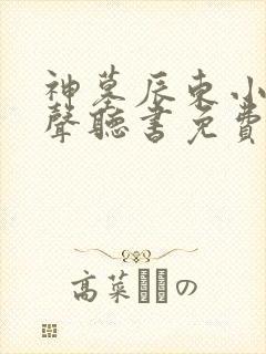 神墓辰东小说有声听书免费