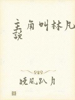 主角叫林凡的小说