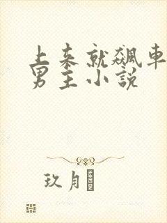 上来就飙车的双男主小说