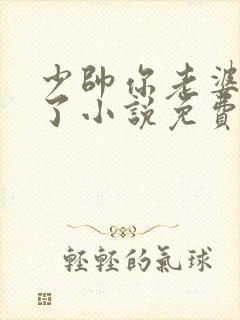 少帅你老婆又跑了小说免费阅读