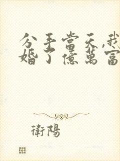 分手当天,我闪婚了亿万富豪txt