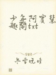 少年阿宾慧钰笔趣阁txt