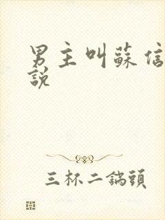 男主叫苏信的小说