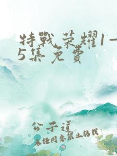 特战荣耀1—45集免费