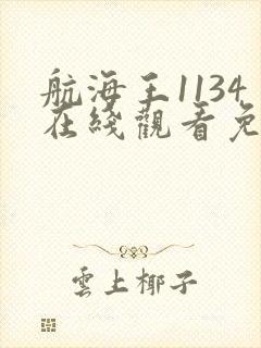 航海王1134在线观看免费