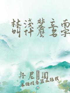 林浅裴立南小说叫什么名字