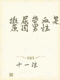 撒尿带血是什么原因男性