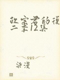 政宗君的复仇第二季12集