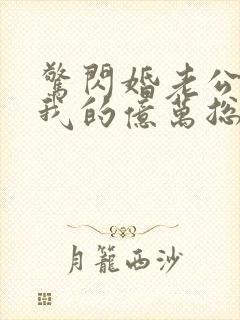 惊闪婚老公竟是我的亿万总裁